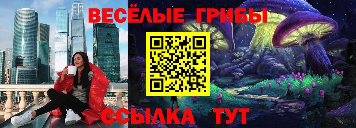 Галлюциногенные грибы Psilocybe Сарапул