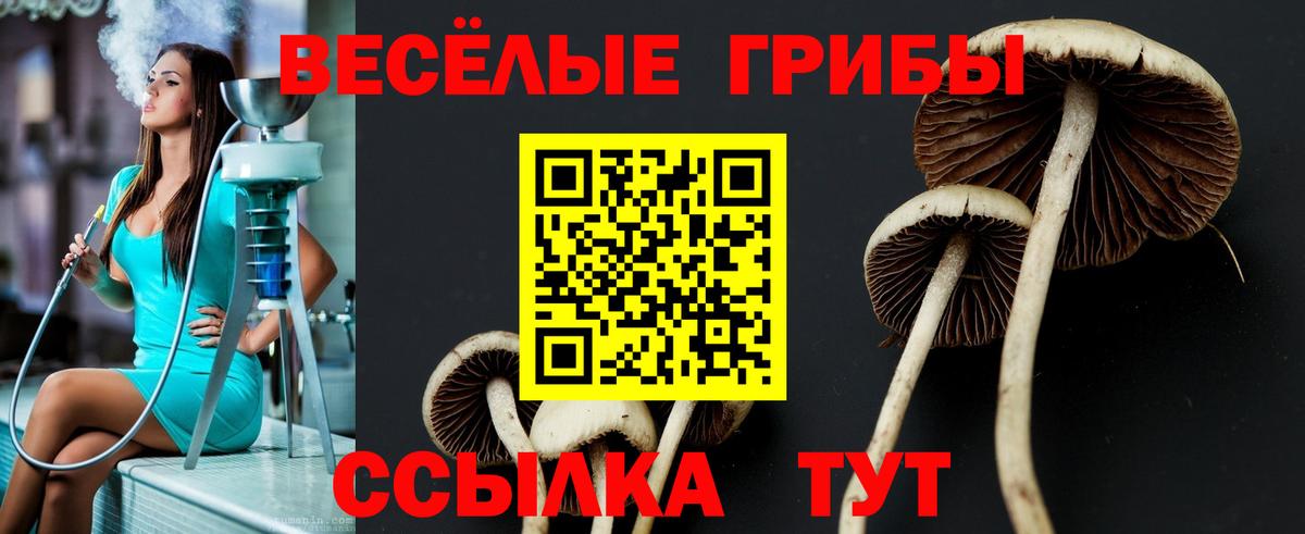 Сарапул  Псилоцибиновые грибы ЛСД  Вход с VPN 